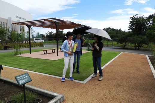20180922健康市民大学植物観察