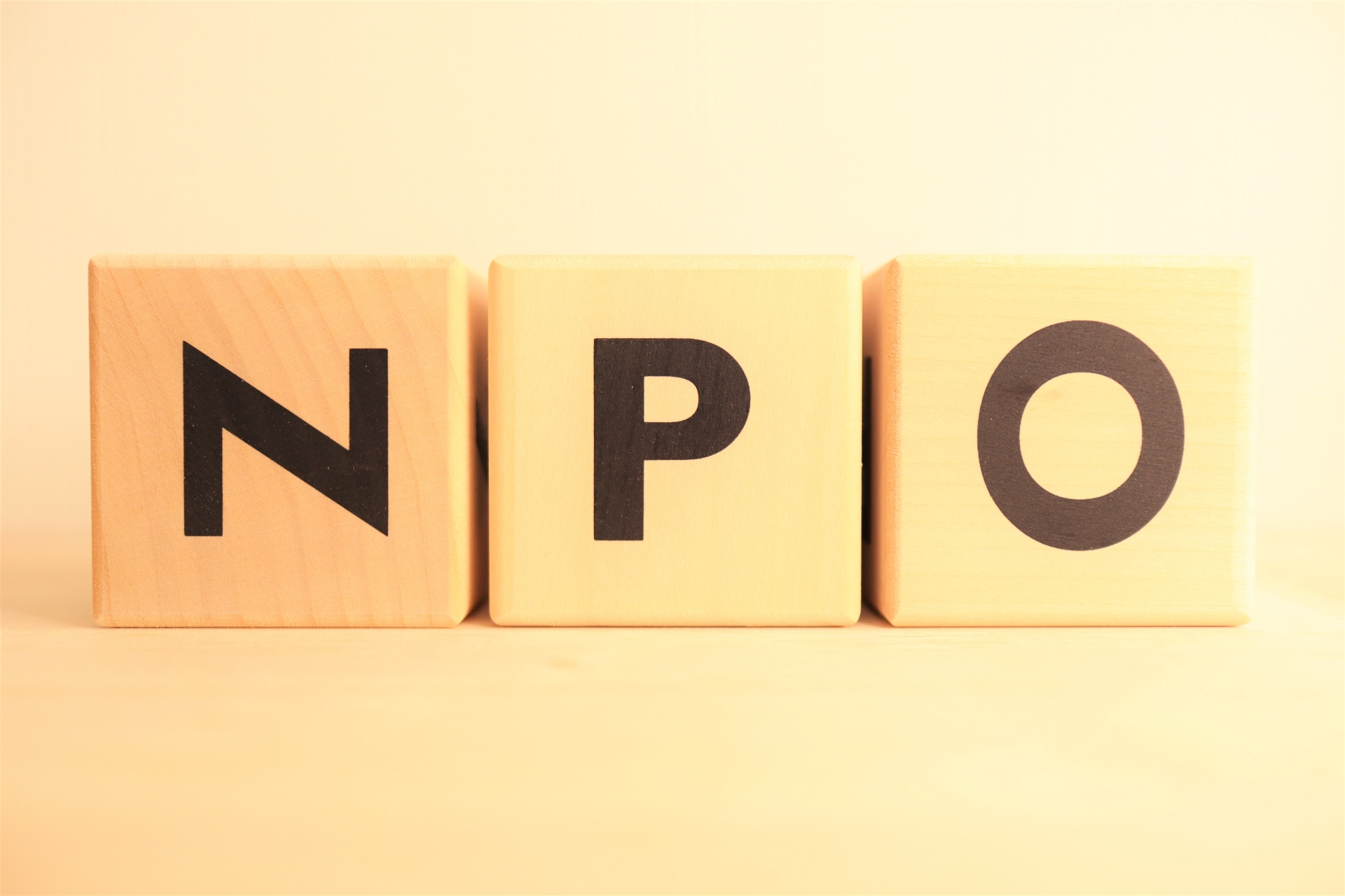 NPO法人とは？活動内容や収入源、NGOとの違いを簡単解説！