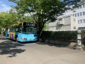 JUカフェ横の道路（明海大学側）