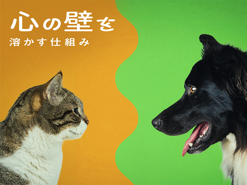 心の壁を溶かす仕組み