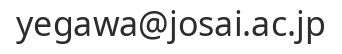 Email address