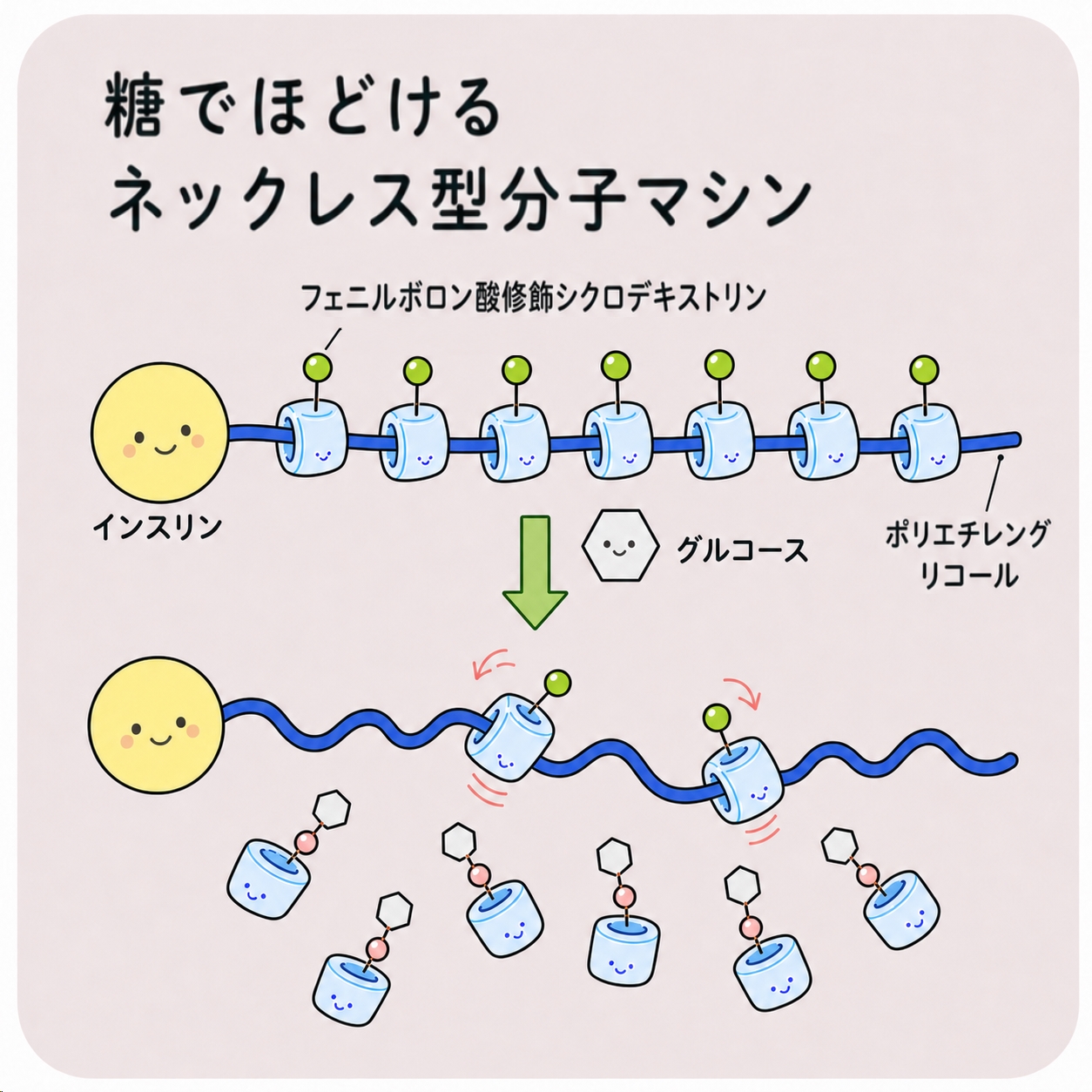 糖でほどけるネックレス型分子マシンのイメージ