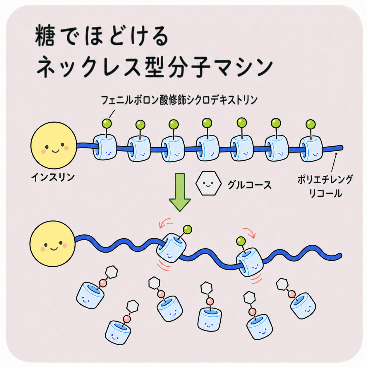 糖でほどけるネックレス型分子マシンのイメージ