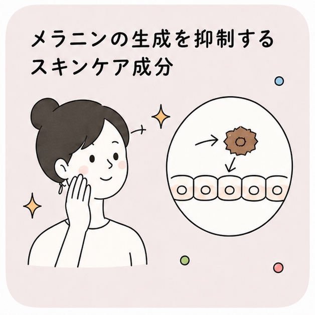 メラニン生成抑制物質探索のイメージ
