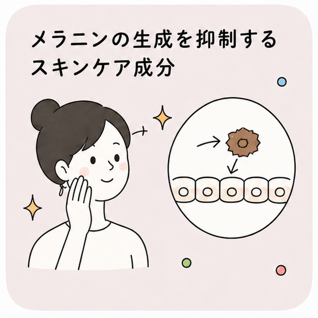 メラニン生成抑制物質探索のイメージ