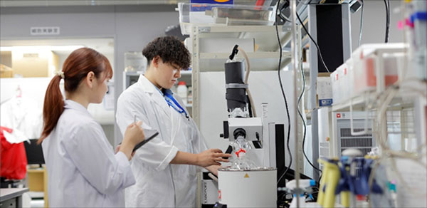 1日研究室インターンシップ