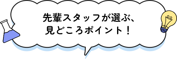 先輩スタッフが選ぶ、見どころポイント！